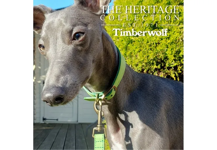 Ancol - Timberwolf Leather Hound Collar - Blue - Whippet (30-34cm)